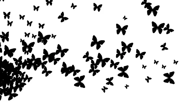 butterfly