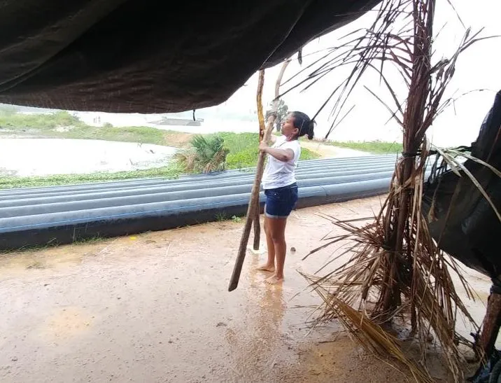 cauipe-janeiro-3.jpeg