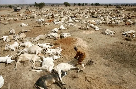 climate change in africa 2