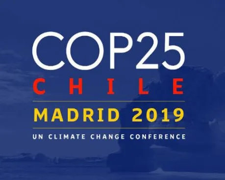 COP 25