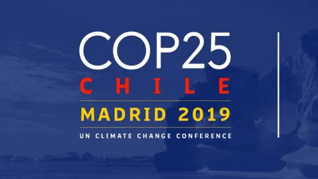 COP 25