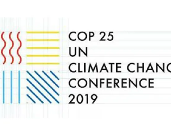 COP-25 (2019)