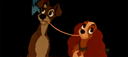dogs