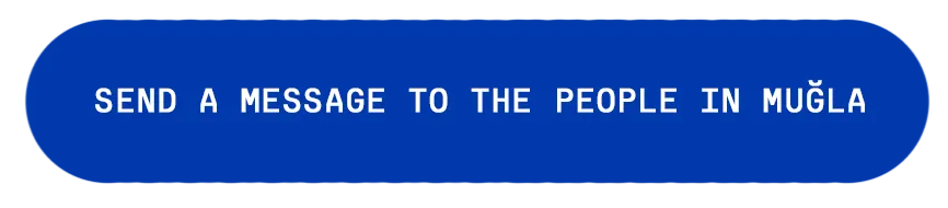 editor-2018-10-31-3.png