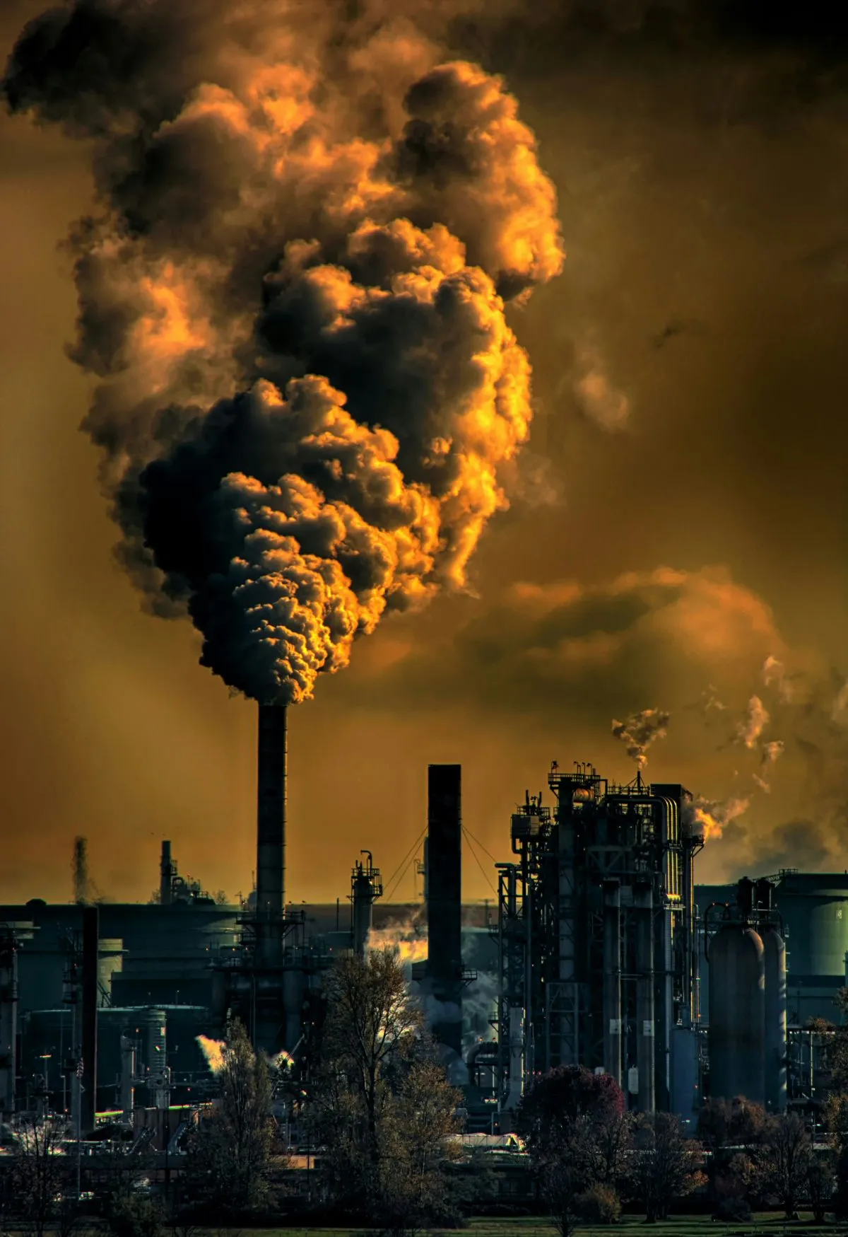 refinaria