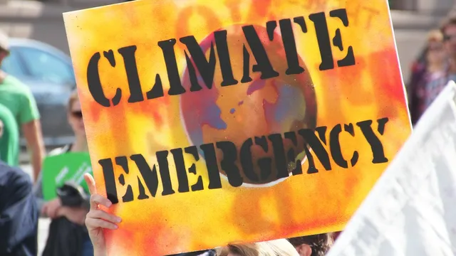 emergency.jpg