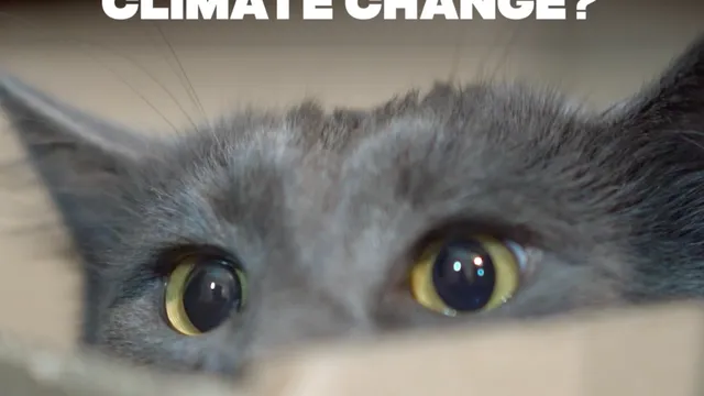 ever-felt-helpess-in-the-face-of-climate-change-youre-not-alone.png
