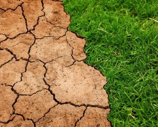 Mudanças climáticas e aquecimento global - tema da Cúpula do Clima _ONU 2019