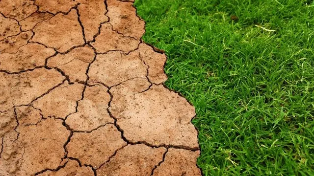 Mudanças climáticas e aquecimento global - tema da Cúpula do Clima _ONU 2019