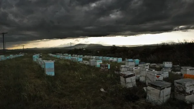 hivecloud-e1405095599778.jpg