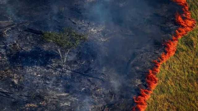 Amazonia-queimando