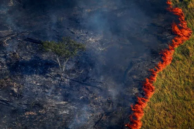 Amazonia-queimando