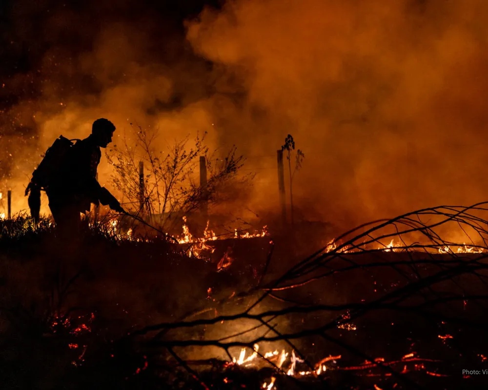 Feux de forêt en Europe et dérèglement climatique