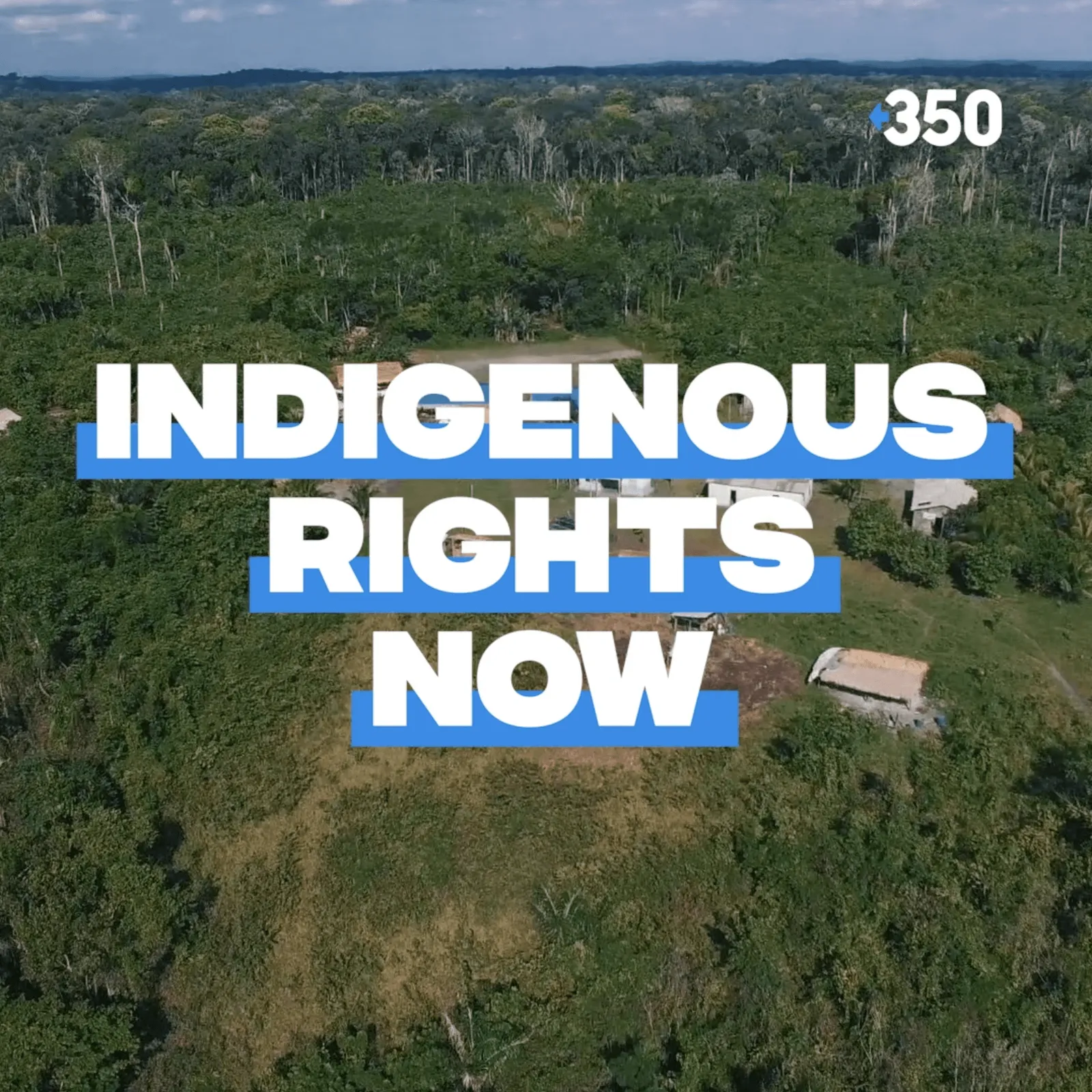 indigenous-rights-now.png