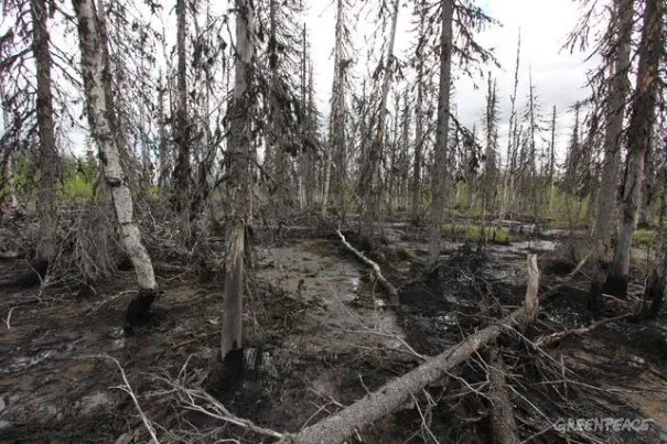 In March 2014 Lukoil tried to clean spilled oil by burning it, which caused heavy air pollution.