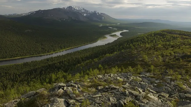 The Republic of Komi is also a home for the Virgin Forests of Komi - one of the last area of untouched borreal forests in the world, listed in UNESCO World Heritage.