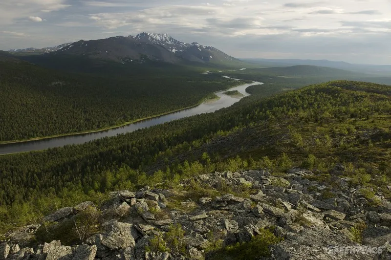 The Republic of Komi is also a home for the Virgin Forests of Komi - one of the last area of untouched borreal forests in the world, listed in UNESCO World Heritage.
