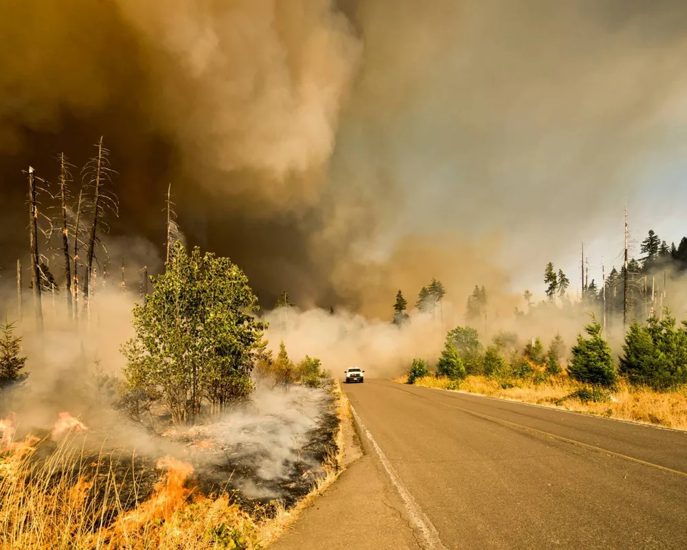 image of smoke overtaking road during forest fire, to illustrate article about broken heat records