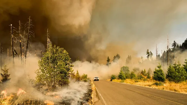 image of smoke overtaking road during forest fire, to illustrate article about broken heat records