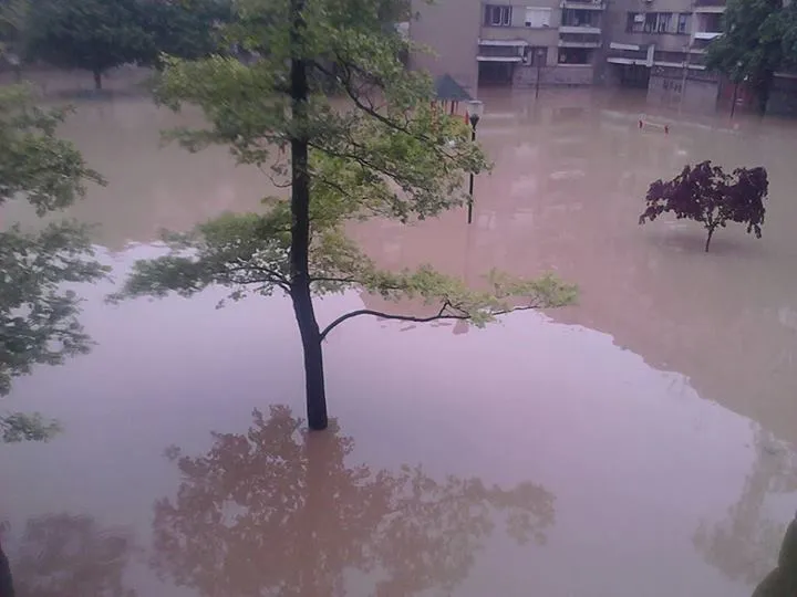 Photo taken by Rastko’s neighbour Goran Radojcic