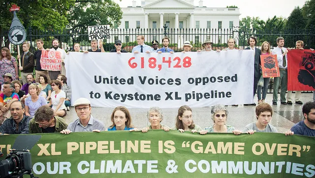 petition-banner-sized.jpg