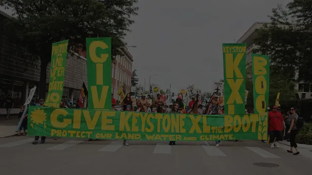 petition_background-1.png