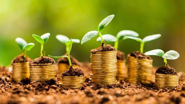 moedas cobertas por terra e plantas