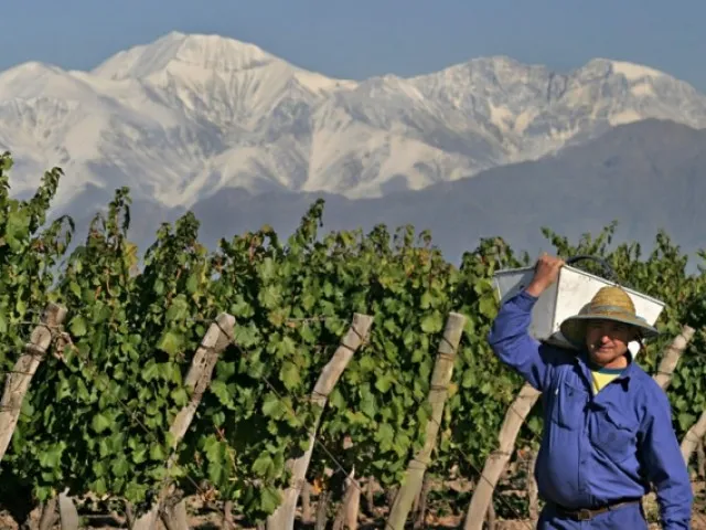 ruta-del-vino-en-mendoza-cuyo-5852f933acdaf47fb20963284e7e98a8-e0381542e032a60b77e30aad3b2b3f9a.jpg