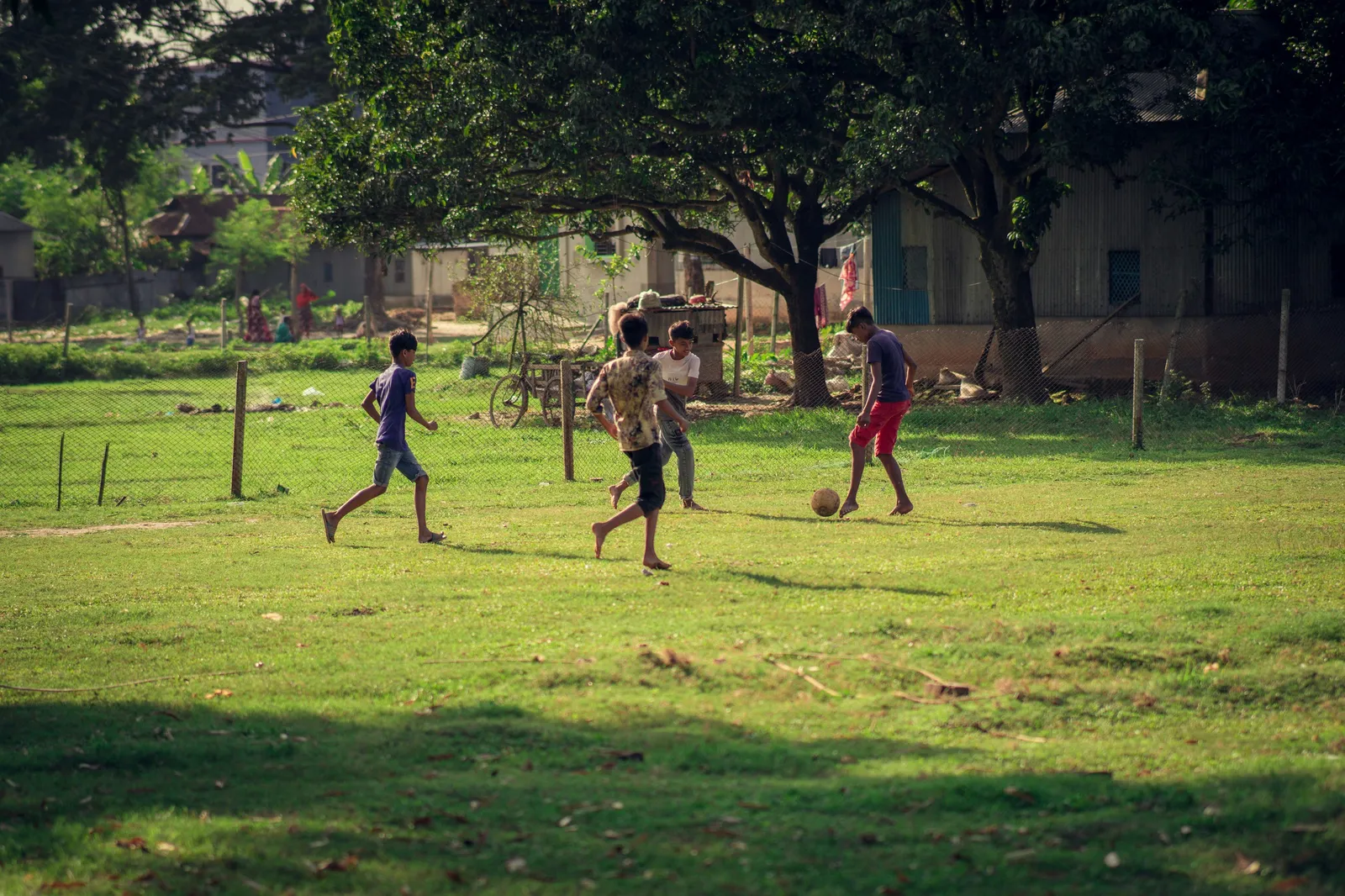 sadhin-mahmud-COct0sQ4wRU-unsplash1.jpg