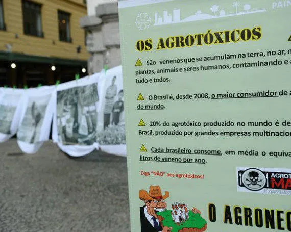 Ativistas participam de ato no Dia Internacional de Luta contra os Agrotóxicos / Fernando Frazão/ABr 