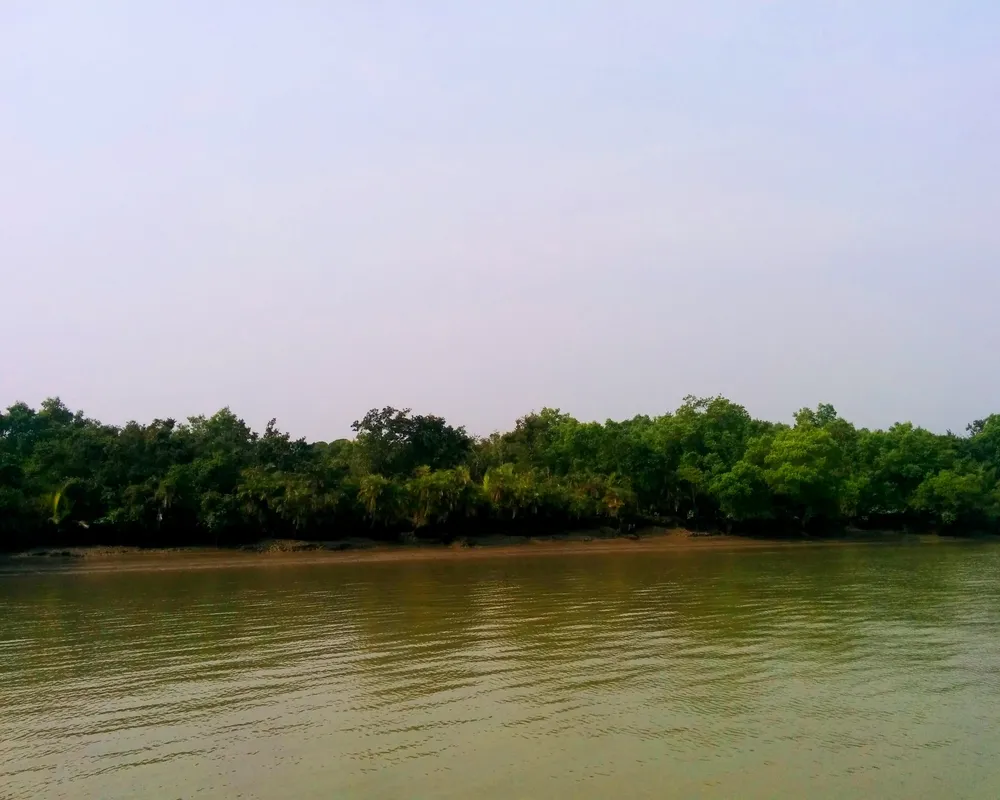 sundarban blog1