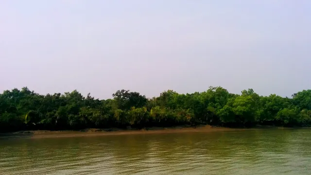 sundarban blog1