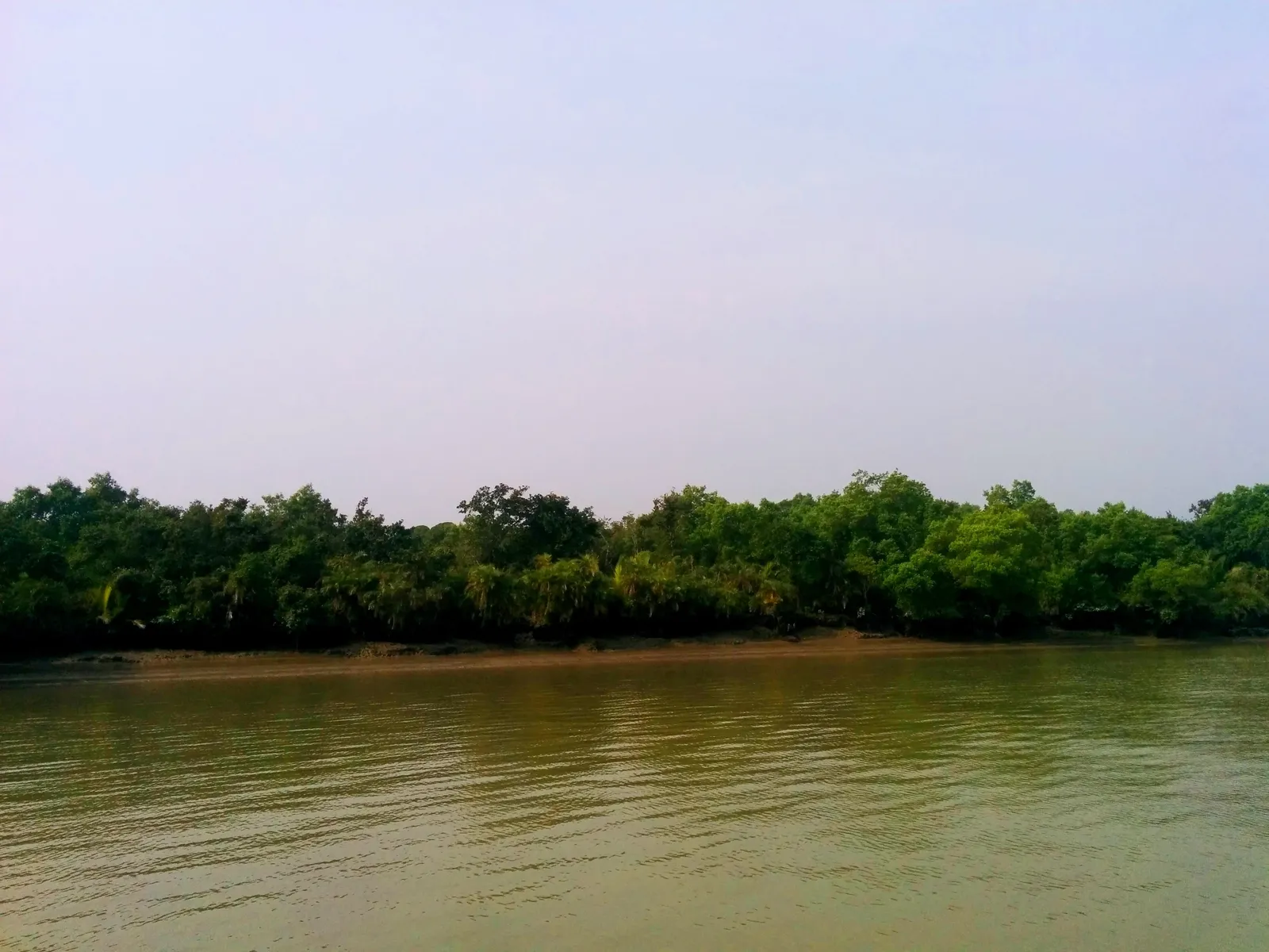 sundarban blog1