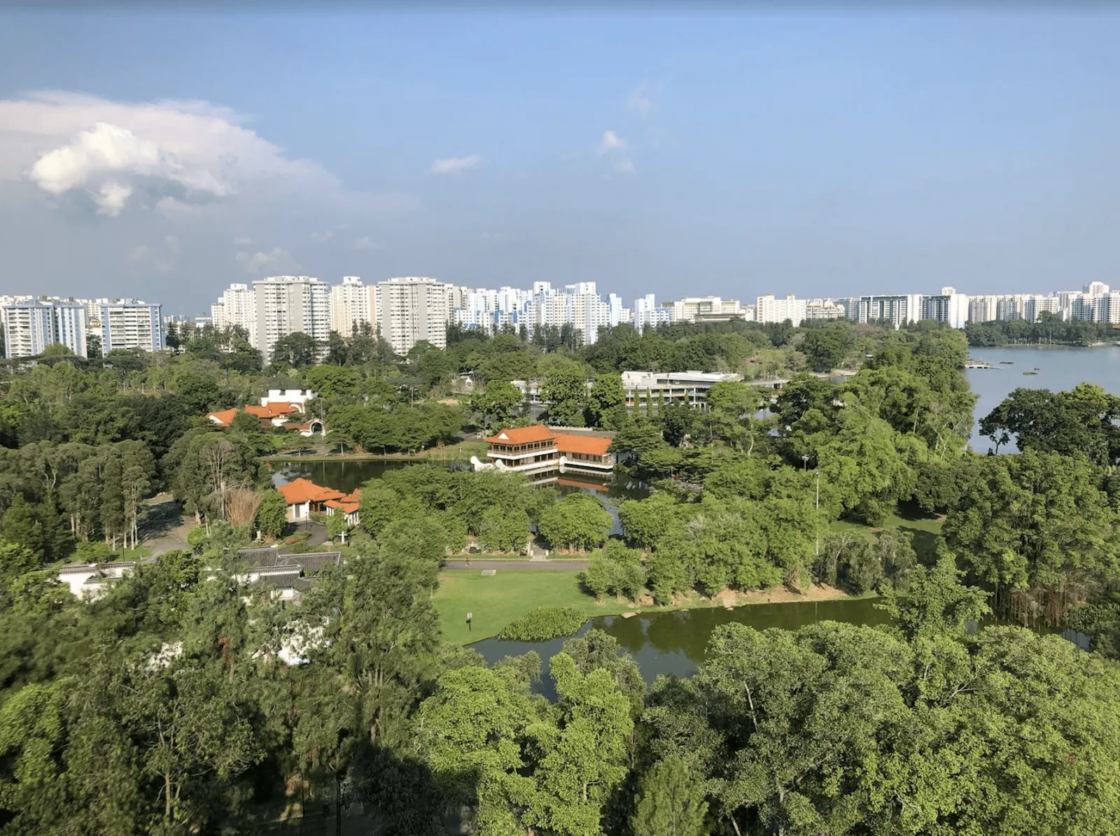 Aerial view of green space in Singapore
