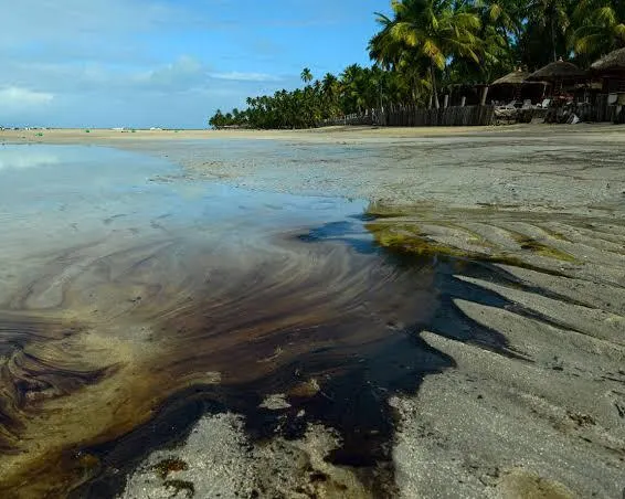 Vazamento de petróleo cru na costa nordestina
