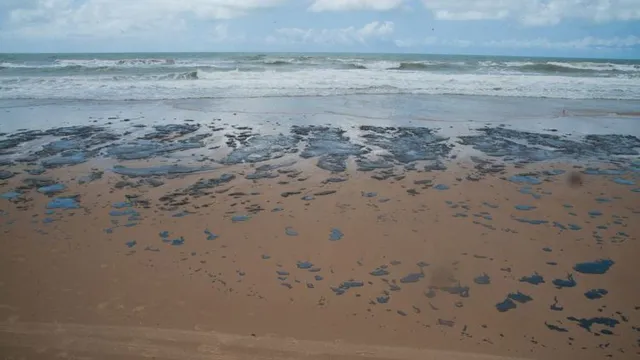 Vazamento petróleo NE - SE - 2019