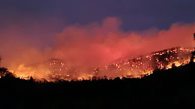 wildifires1.png
