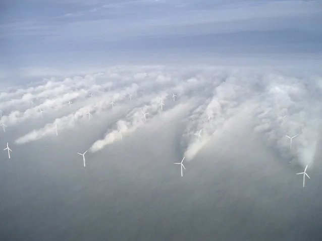 Foto aérea de Horns Rev parque eólico na Dinamarca.