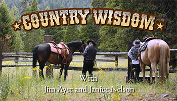 Country Wisdom