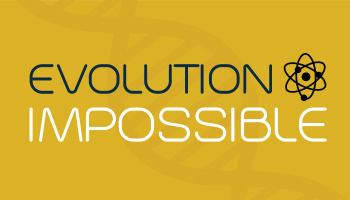 Evolution Impossible