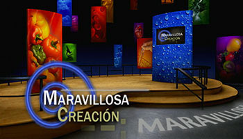 Maravillosa Creación