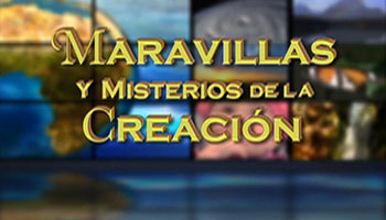 Maravillas Y Misterios De La Creación