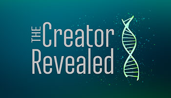 The Creator Revealed