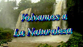 Volvamos a la Naturaleza