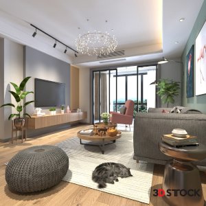 Livingroom Sets 22