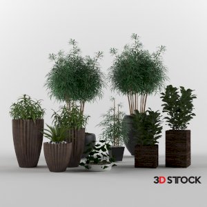 Plant Set 9