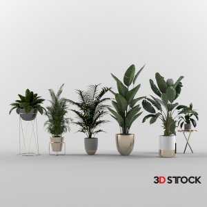 Plant Set 10