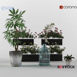 Plant Set 11