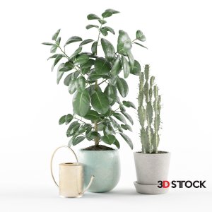 Plant Set 12