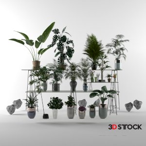 Plant Set 13